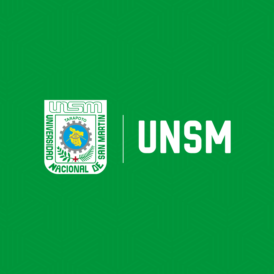 INCUBADORA DE EMPRESAS UNSM
