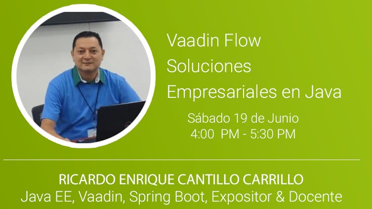Portada de Vaadin Flow, Soluciones Empresariales en Java