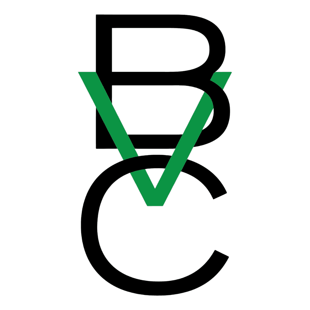 B VENTURE CAPITAL