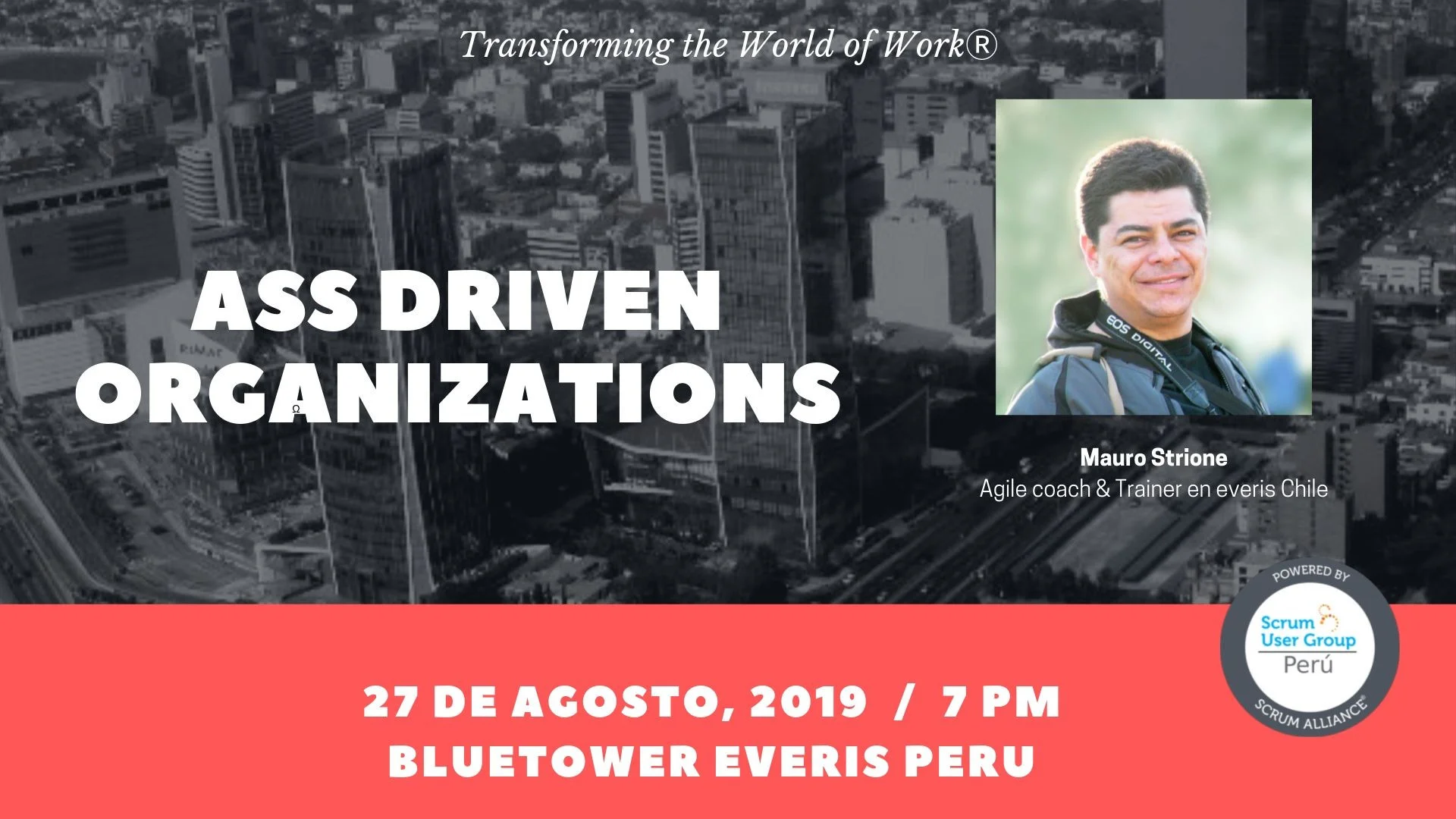 Portada de Ass Driven Organizations